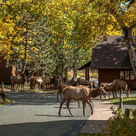 Rams Horn Village Resort Эстес Парк Экстерьер фото